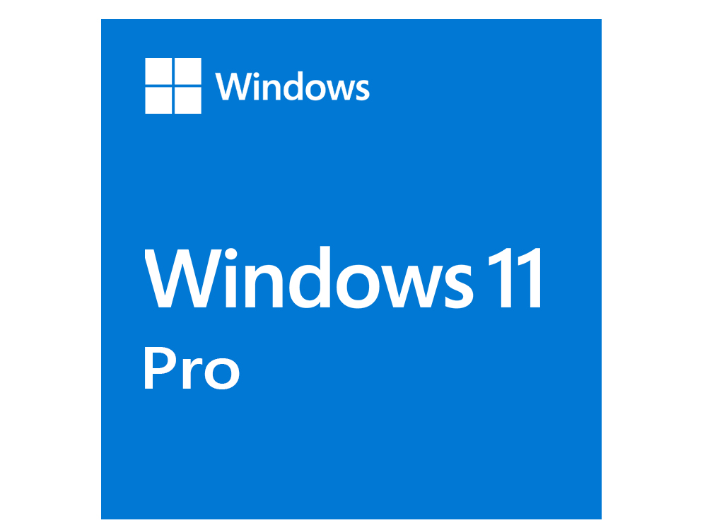 Image for MS WINDOWS 11 PRO 64 BIT OEM